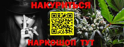 шишки Усть-Илимск