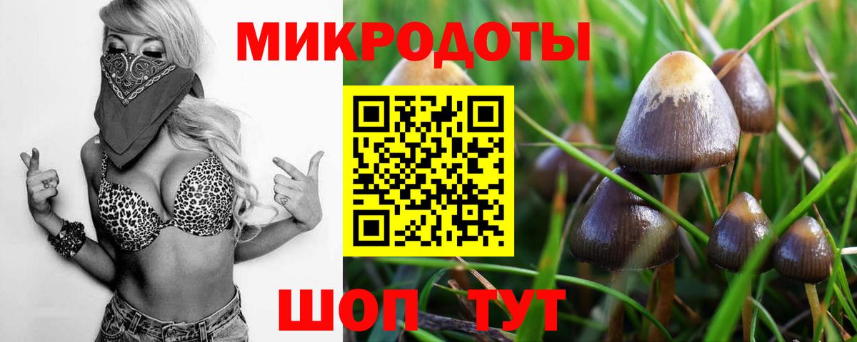 Кольчугино  Галлюциногенные грибы мухоморы  Вход с VPN 
